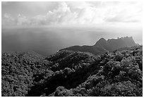 Tropical forest and Ocean from Mont Alava, Tutuila Island. National Park of American Samoa (black and white)