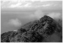 Forested ridges and Pacific Ocean from Mont Alava, Tutuila Island. National Park of American Samoa (black and white)