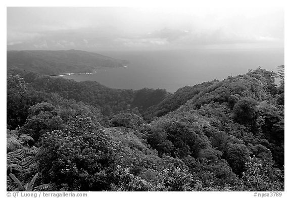 View from Mont Alava, Tutuila Island. National Park of American Samoa (black and white)