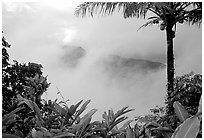 Clearing clouds from Mont Alava, Tutuila Island. National Park of American Samoa (black and white)