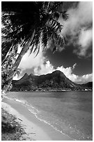 Palm-fringed beach in Vatia Bay, Tutuila Island. National Park of American Samoa (black and white)