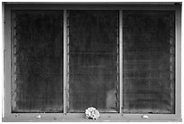 Corals, Ofu Ranger Station and Visitor Center window. National Park of American Samoa ( black and white)