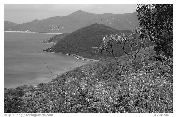 Hurricane Hole. Virgin Islands National Park, US Virgin Islands.