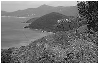 Hurricane Hole. Virgin Islands National Park, US Virgin Islands. (black and white)