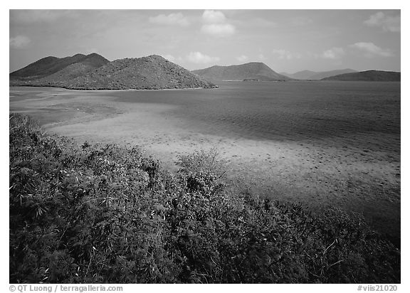 Tropical island environment with turquoise waters. Virgin Islands National Park (black and white)