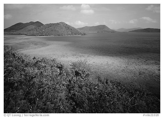 Turquoise waters in Leinster Bay. Virgin Islands National Park (black and white)