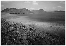 Tropical island environment with turquoise waters. Virgin Islands National Park, US Virgin Islands. (black and white)