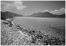 Turquoise waters in Leinster Bay. Virgin Islands National Park ( black and white)