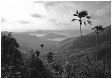 Coral Harbor seen from Centerline Road, morning. Virgin Islands National Park ( black and white)