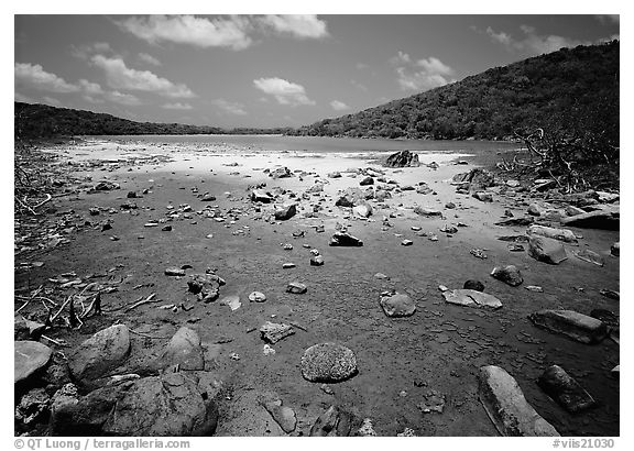 Salt Pond. Virgin Islands National Park (black and white)