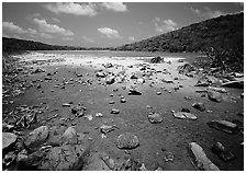 Salt Pond. Virgin Islands National Park ( black and white)