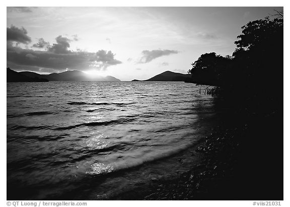 Sunrise, Leinster bay. Virgin Islands National Park (black and white)