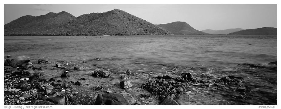 Tropical seascape. Virgin Islands National Park (black and white)