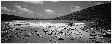 Pond with quicksand. Virgin Islands National Park (Panoramic black and white)