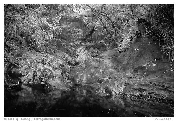 Freshwater pool, petrogyphs, and waterfall. Virgin Islands National Park (black and white)
