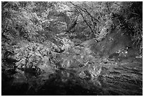 Freshwater pool, petrogyphs, and waterfall. Virgin Islands National Park ( black and white)