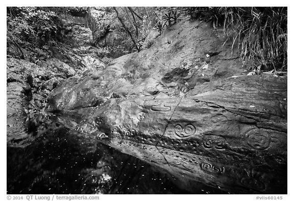 Reef Bay Trail petroglyphs and rock wall. Virgin Islands National Park (black and white)