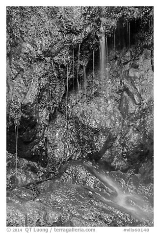 Ephemeral waterfall, Reef Bay. Virgin Islands National Park (black and white)