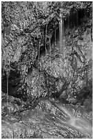 Ephemeral waterfall, Reef Bay. Virgin Islands National Park ( black and white)