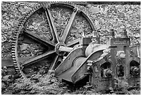 Steam powered sugarcane crusher, Reef Bay sugar factory. Virgin Islands National Park ( black and white)