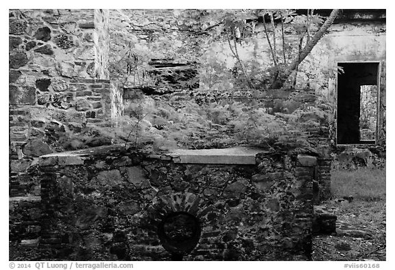 Reef Bay sugar factory walls. Virgin Islands National Park (black and white)