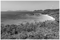 Visitor looking, Trunk Bay. Virgin Islands National Park ( black and white)