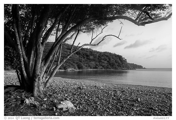 Great Lameshur Bay beach. Virgin Islands National Park (black and white)