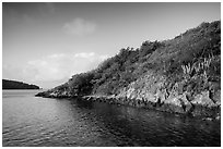 Great Lameshur Bay. Virgin Islands National Park ( black and white)