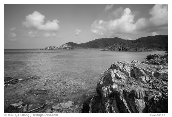Turk cap cactus and blue waters, Little Lameshur Bay. Virgin Islands National Park (black and white)