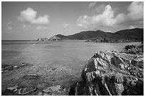 Turk cap cactus and blue waters, Little Lameshur Bay. Virgin Islands National Park ( black and white)