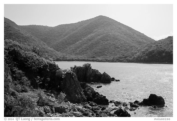 Jagged shoreline and green hills, Great Lameshur Bay. Virgin Islands National Park (black and white)