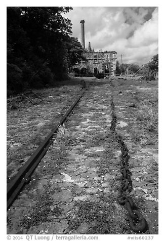 Creque Marine Railway slipway, Hassel Island. Virgin Islands National Park (black and white)