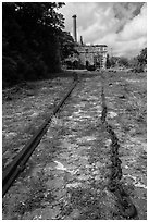 Creque Marine Railway slipway, Hassel Island. Virgin Islands National Park ( black and white)