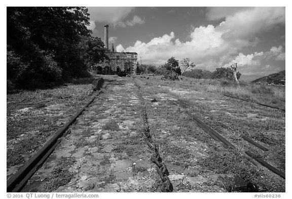 Rails and chain leading to Creque Marine Railway power house, Hassel Island. Virgin Islands National Park (black and white)