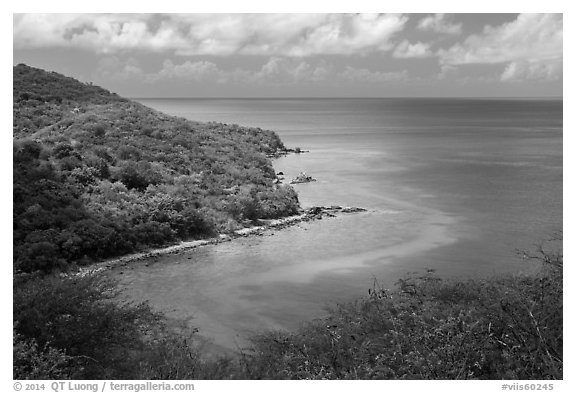 Forested slopes and reef, Hassel Island. Virgin Islands National Park (black and white)