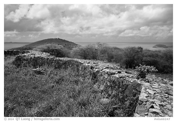 Shipleys Battery, Hassel Island. Virgin Islands National Park (black and white)