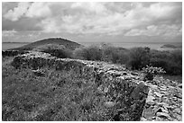 Shipleys Battery, Hassel Island. Virgin Islands National Park ( black and white)