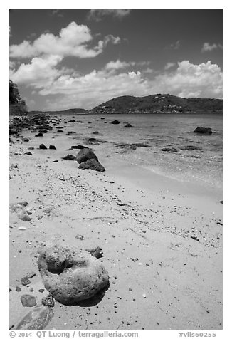 Coral rock and beach, Hassel Island. Virgin Islands National Park (black and white)