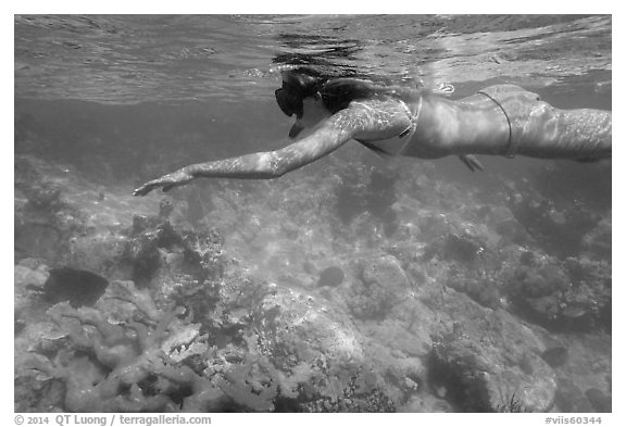 Woman snorkeling, Trunk Bay. Virgin Islands National Park (black and white)