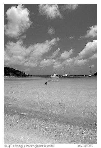 Tropical beach and yachts. Virgin Islands National Park (black and white)