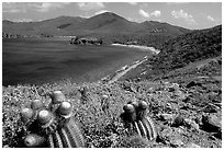 Cactus and bay, Ram Head. Virgin Islands National Park, US Virgin Islands. (black and white)