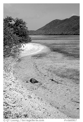 Sandy shoreline, Leinster Bay. Virgin Islands National Park, US Virgin Islands.