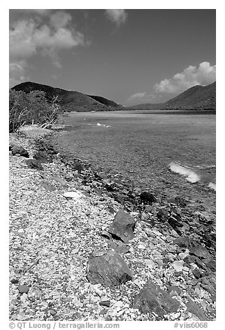 Shore and Turquoise waters, Leinster Bay. Virgin Islands National Park, US Virgin Islands.