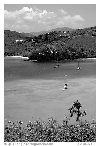 Tropical anchorage, Francis Bay. Virgin Islands National Park, US Virgin Islands.