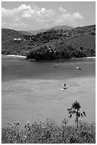 Tropical anchorage, Francis Bay. Virgin Islands National Park, US Virgin Islands. (black and white)