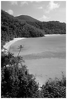 Tropical hills and beach, Hawksnest Bay. Virgin Islands National Park, US Virgin Islands. (black and white)