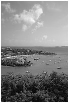 Cruz Bay harbor. Virgin Islands National Park, US Virgin Islands. (black and white)