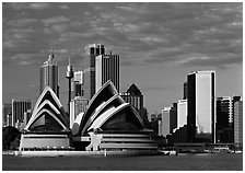 Opera House and high rise buildings. Australia ( black and white)