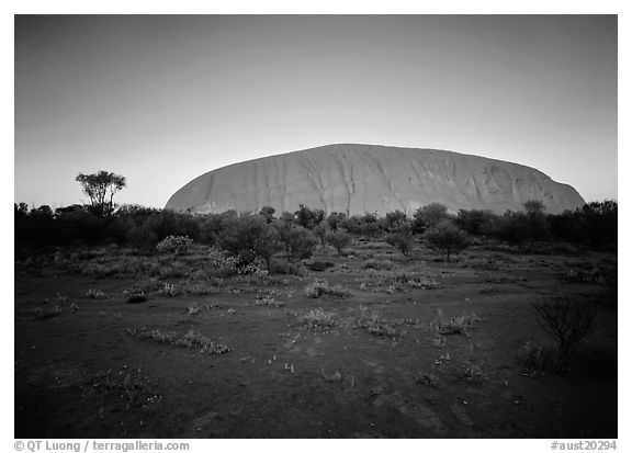 Sunrise, Ayers Rock. Uluru-Kata Tjuta National Park, Northern Territories, Australia