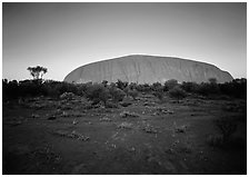 Sunrise, Ayers Rock. Uluru-Kata Tjuta National Park, Northern Territories, Australia (black and white)